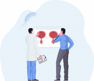 Urologists Email List