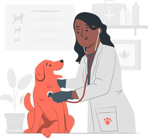 pet vet