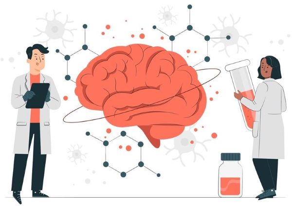 brain chemistry concept illustration 114360 10136