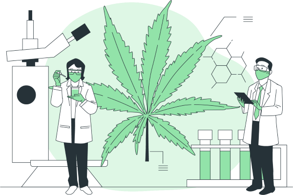 CBD Stores Email List