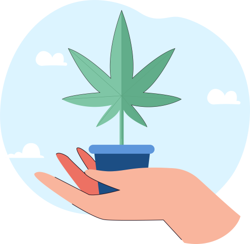 Hemp Growers Email List