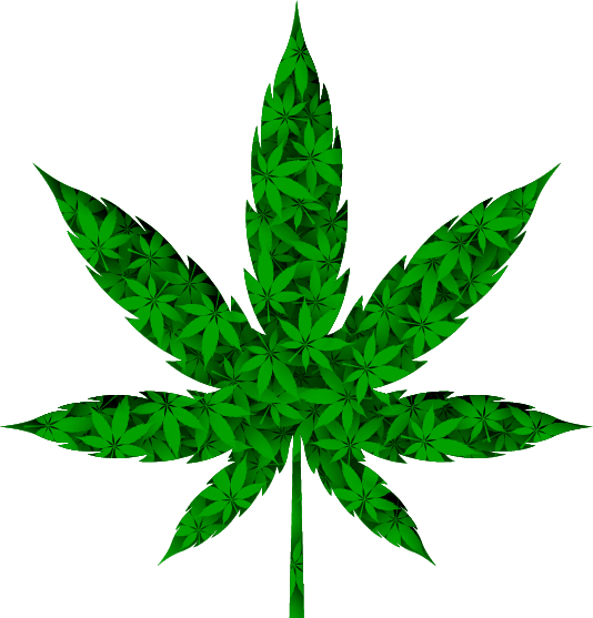 hemp