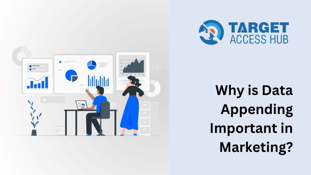 Why is Data Appending Important in Marketing?