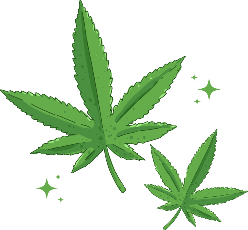 Cannabis Manufacturers Email List