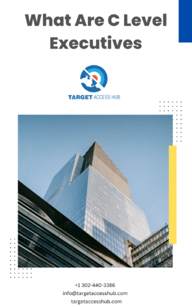 What are C Level Executives 22 1